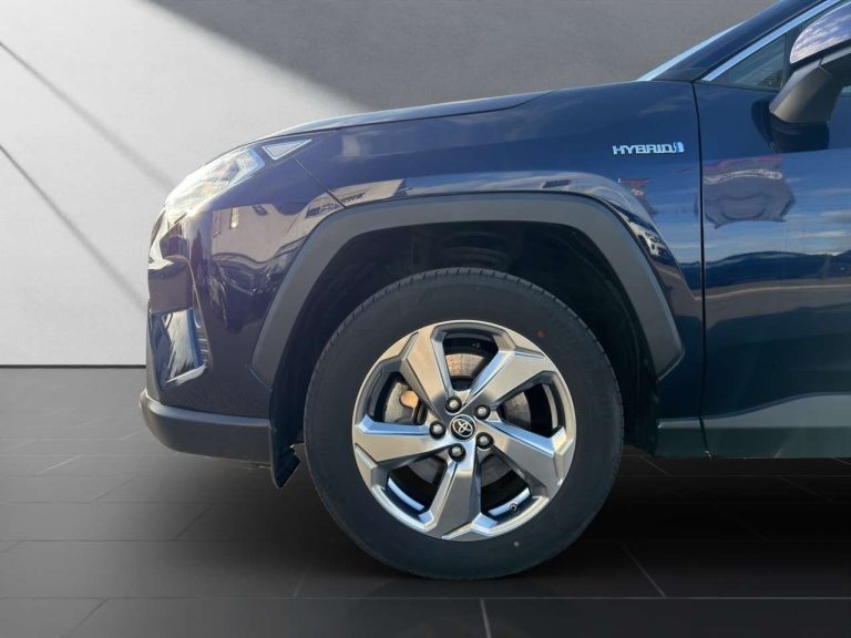 Toyota RAV4 2.5 Hybrid Team D - photo 13