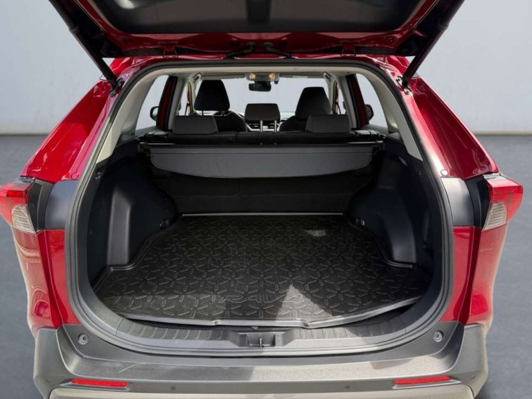 Toyota RAV4 2.5 Hybrid Team D - photo 15