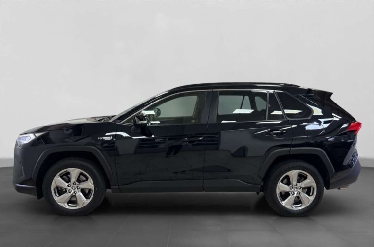Toyota RAV4 2.5 Hybrid Team Deutschland - photo 3