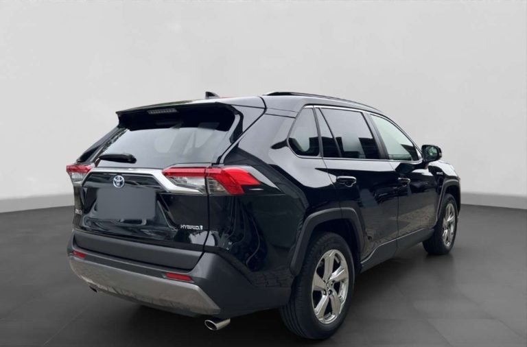 Toyota RAV4 2.5 Hybrid Team Deutschland - photo 4