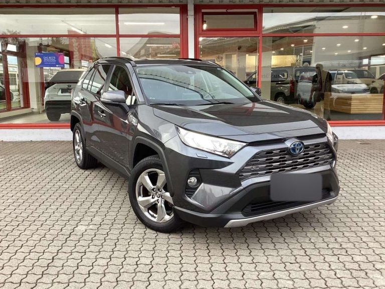 Toyota RAV4 2.5 Hybrid AWD Team Deutschland