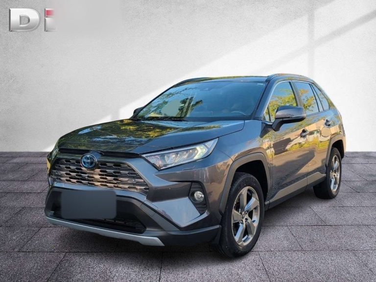 Toyota RAV4 2.5 Hybrid AWD Team Deutschland