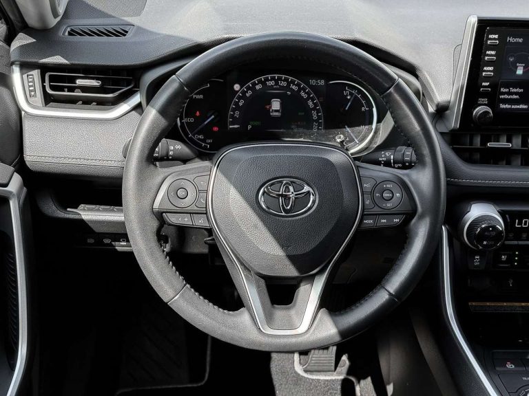 Toyota RAV4 2.5 Hybrid AWD Lounge - photo 10