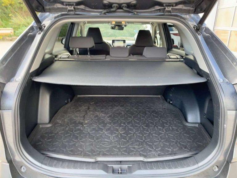 Toyota RAV4 2.5 Hybrid Team Deutschland - photo 14