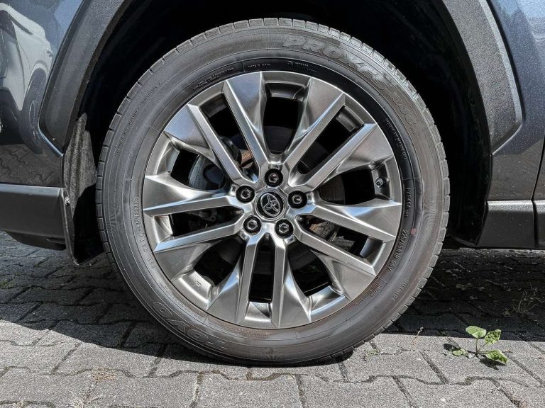 Toyota RAV4 2.5 Hybrid AWD Lounge - photo 3