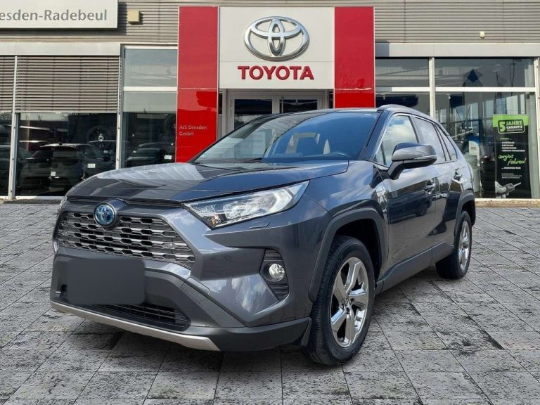 Toyota RAV4 2.5 Hybrid Team Deutschland - photo 5