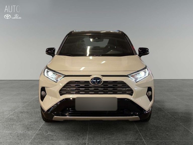 Toyota RAV4 2.5 Hybrid Style - photo 7