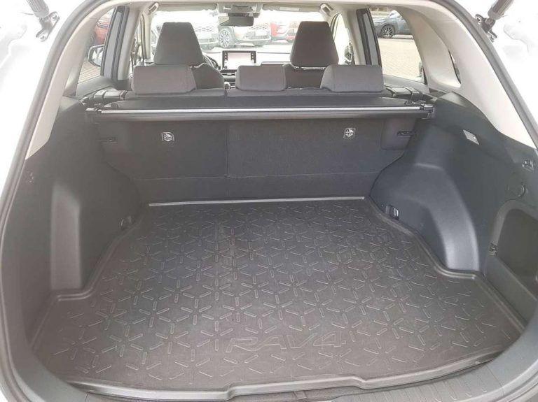 Toyota RAV4 2.5 Hybrid Team Deutschland - photo 8