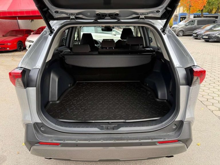 Toyota RAV4 2.5 Hybrid Team Deutschland - photo 9