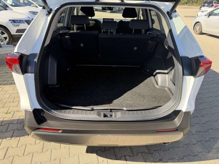 Toyota RAV4 2.5 Hybrid 4×2 Team Deutschland - photo 10