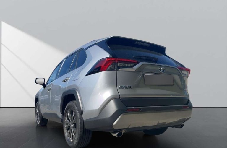 Toyota RAV4 2.5 Hybrid 4×4 Team Deutschland - photo 2