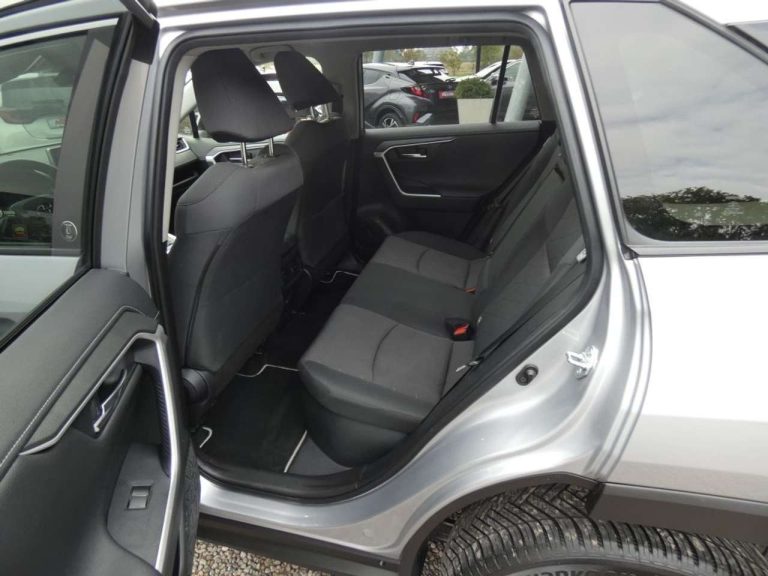 Toyota RAV4 2.5 Hybrid 4×4 Team Deutschland - photo 5