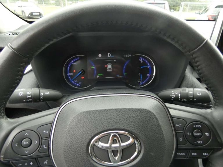 Toyota RAV4 2.5 Hybrid 4×4 Team Deutschland - photo 7