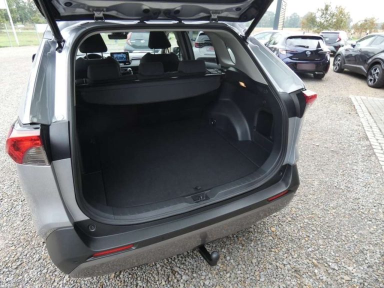 Toyota RAV4 2.5 Hybrid 4×4 Team Deutschland - photo 8