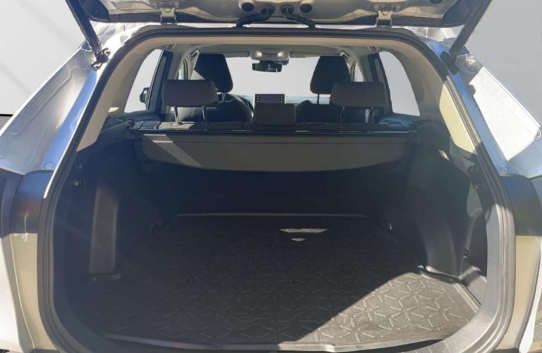 Toyota RAV4 2.5 Hybrid 4×4 Team Deutschland - photo 9
