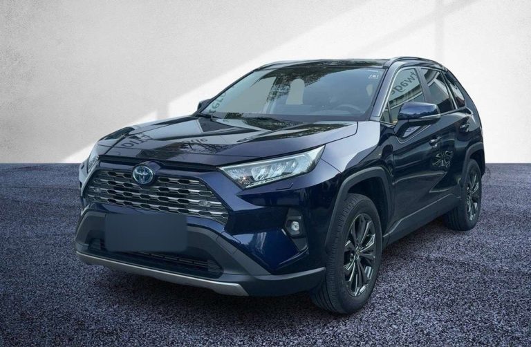 Toyota RAV4 2.5 Hybrid 4×4 Team Deutschland