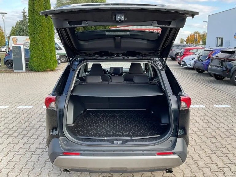Toyota RAV4 2.5 Hybrid Team D - photo 13
