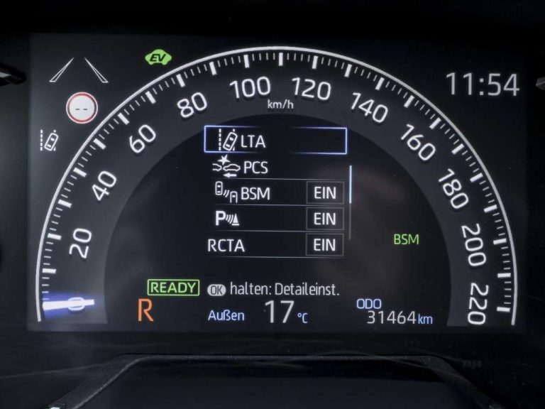 Toyota RAV4 2.5 Hybrid Team Deutschland - photo 13
