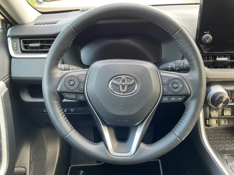 Toyota RAV4 2.5 Hybrid Team D - photo 15