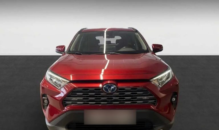 Toyota RAV4 2.5 Hybrid Team Deutschland - photo 5