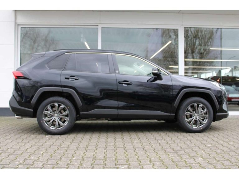 Toyota RAV4 2.5 Hybrid AWD Team D - photo 5