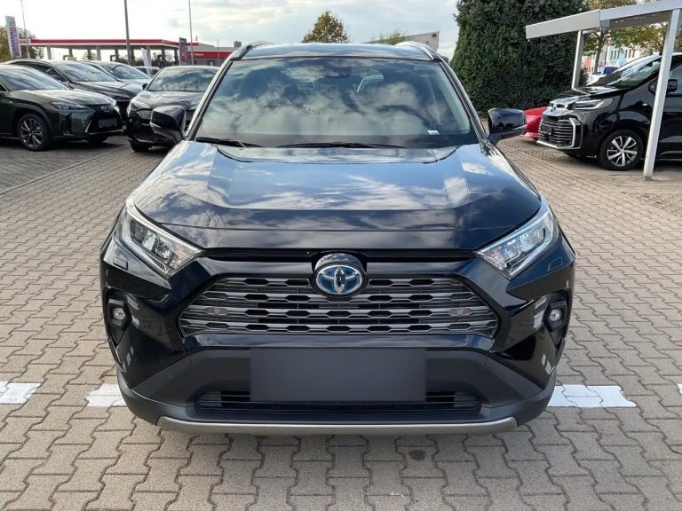Toyota RAV4 2.5 Hybrid Team D - photo 8