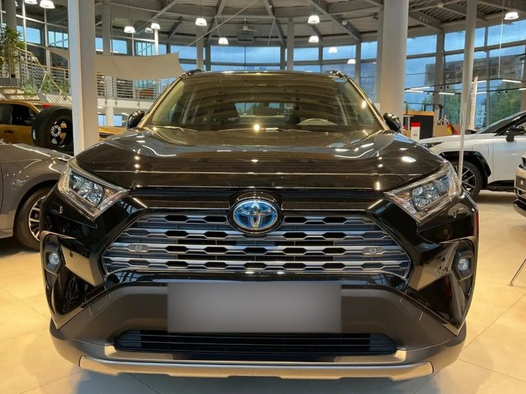 Toyota RAV4 2.5 Hybrid Team Deutschland - photo 2