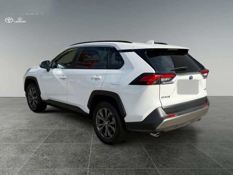 Toyota RAV4 2.5 Hybrid - photo 3