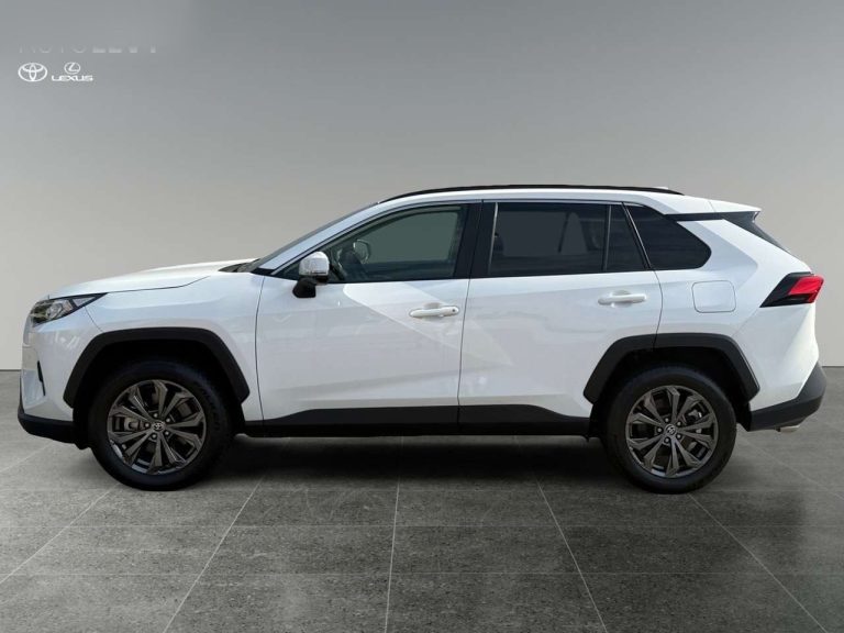 Toyota RAV4 2.5 Hybrid - photo 4
