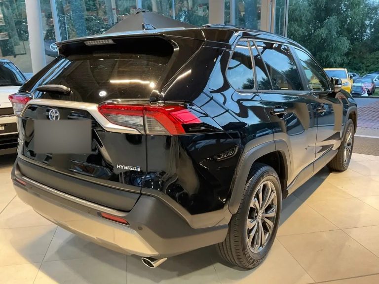 Toyota RAV4 2.5 Hybrid Team Deutschland - photo 4