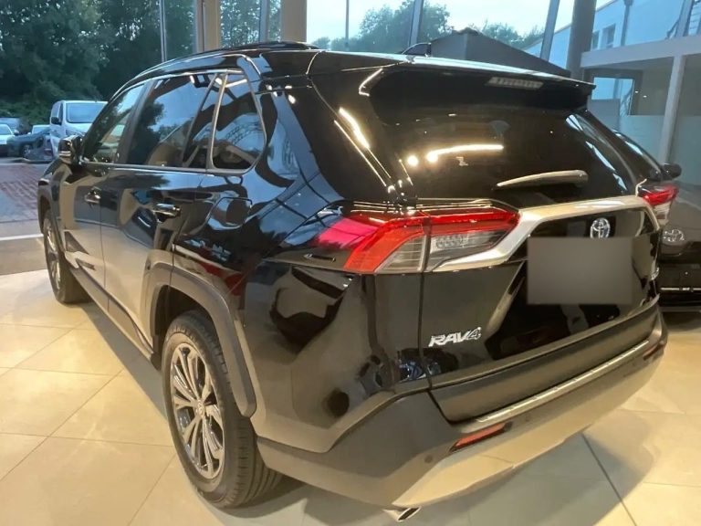 Toyota RAV4 2.5 Hybrid Team Deutschland - photo 6