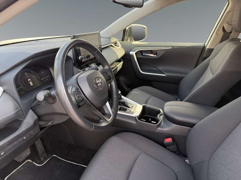 Toyota RAV4 2.5 Hybrid - photo 7