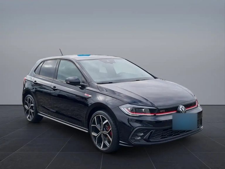 Volkswagen Polo GTI 2.0 TSI DSG - photo 8