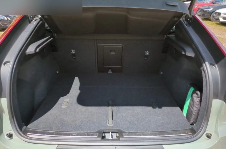 Volvo C40 Recharge Ultimate - photo 13