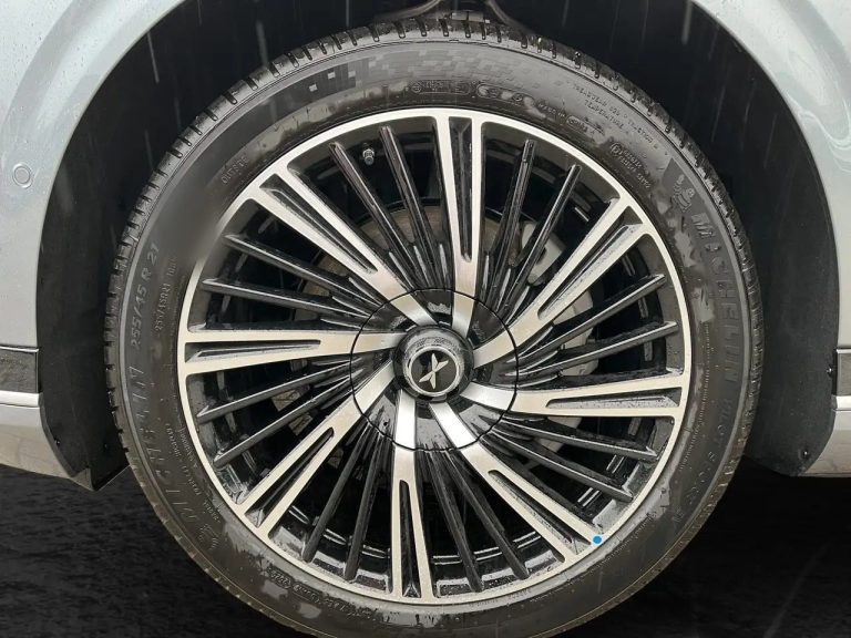XPeng G9 AWD Performance - photo 4